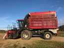 2005 Case IH CPX620 Image