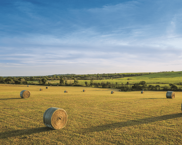 A field with a hay bale in Tennessee.