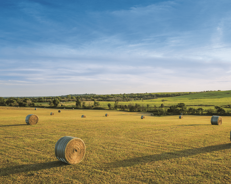 A field with a hay bale in Tennessee.