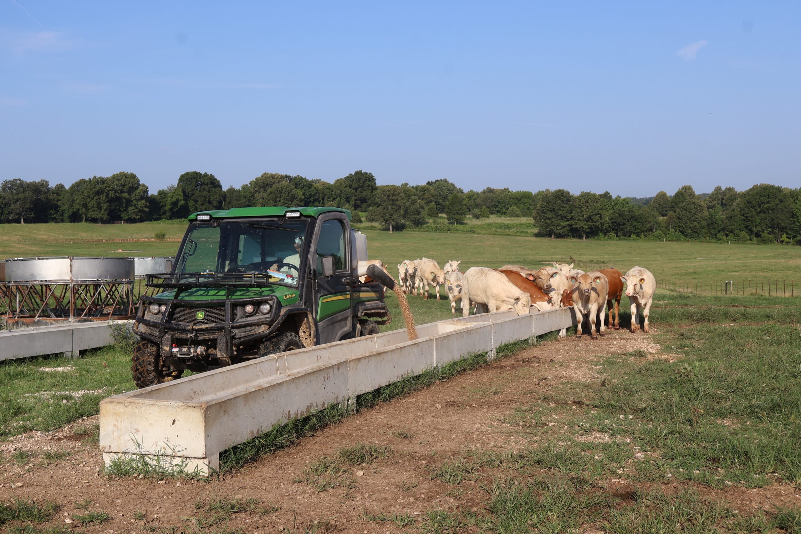 A Gator XUV is used to feed cattle on a farm in Tennessee.