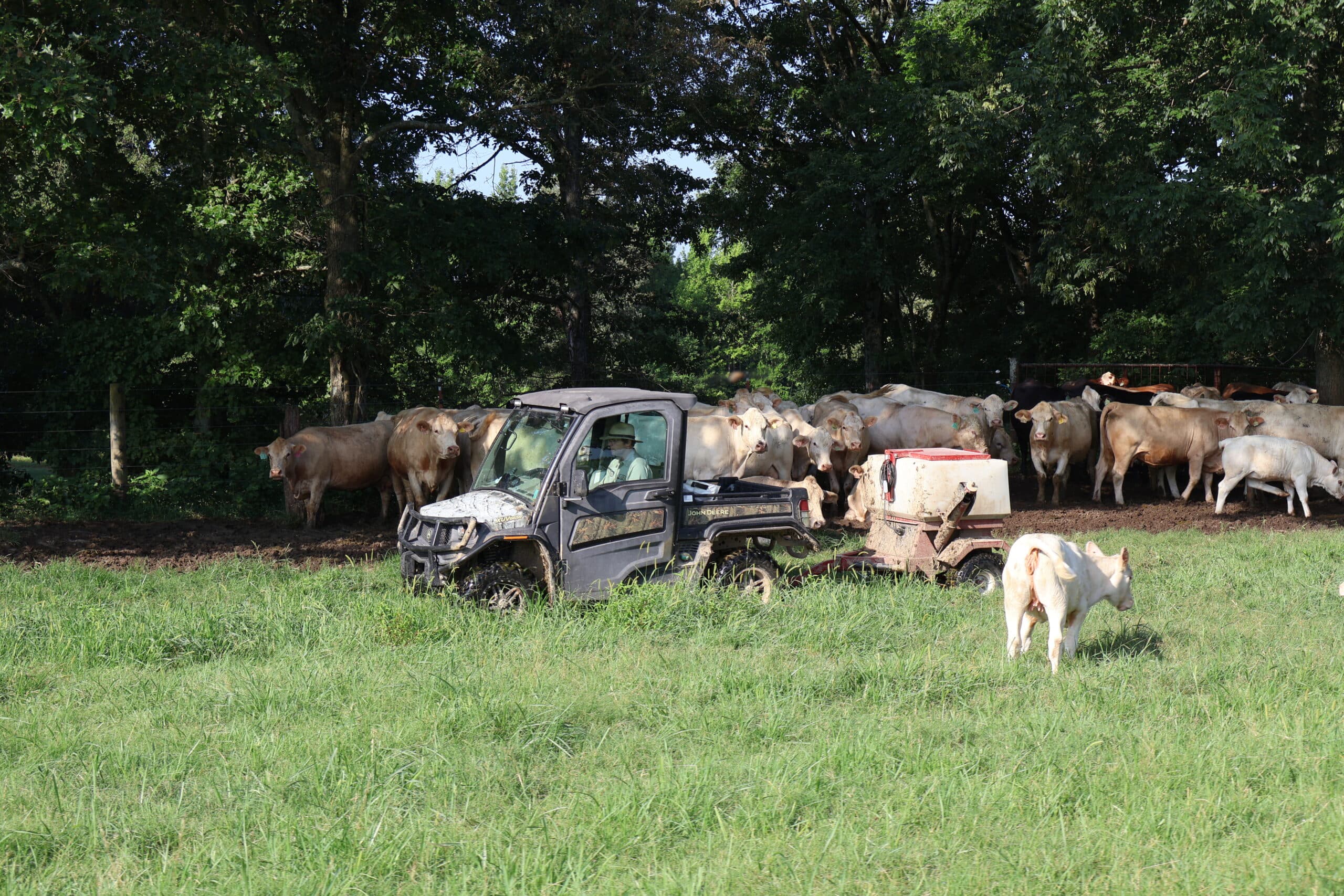 A John Deere Gator surveys a property on a Tennessee cattle farm.
